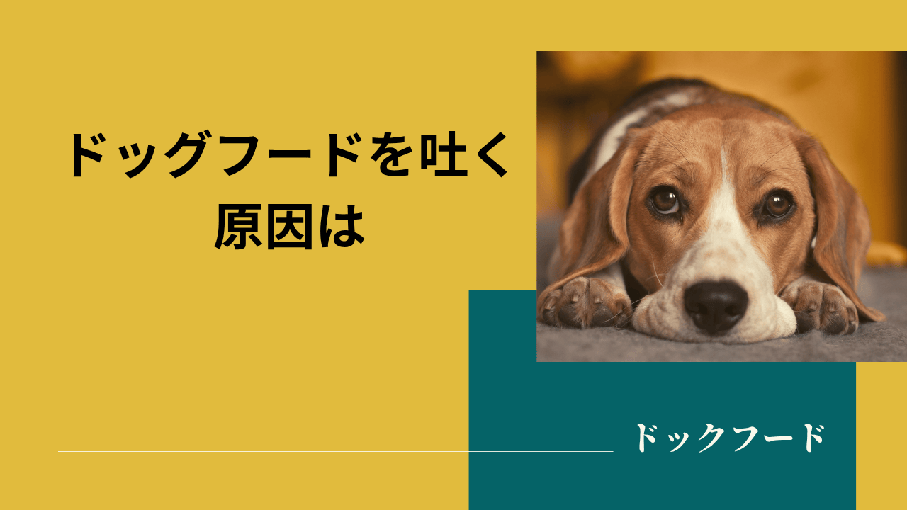 ドッグフードを吐く原因は