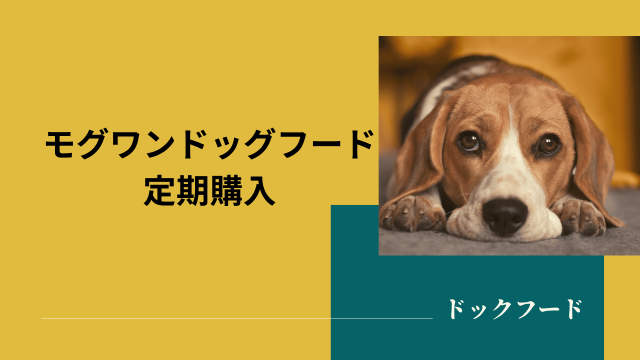 ドッグフード